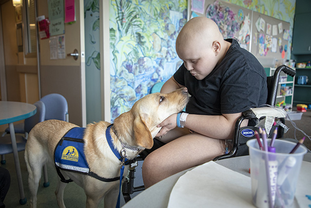 Emotional support dog and young patient interacting