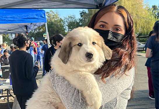 Student in scrubs wearing a mask holds puppy outside in front of a medical tent