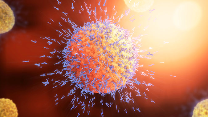 allergen immunology response cell illustration