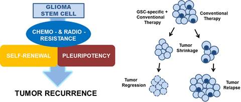 GSCs and Tumor Recurrence
