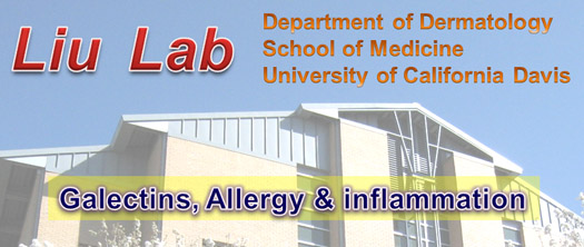 Liu Lab - Galectins, Allergy & inflammation