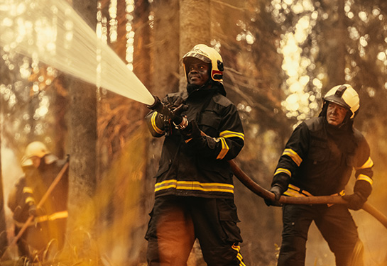 Two firefighters holding a hose to put out a forest fire