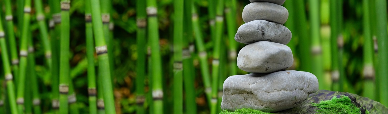 rocks, bamboo, zen, green